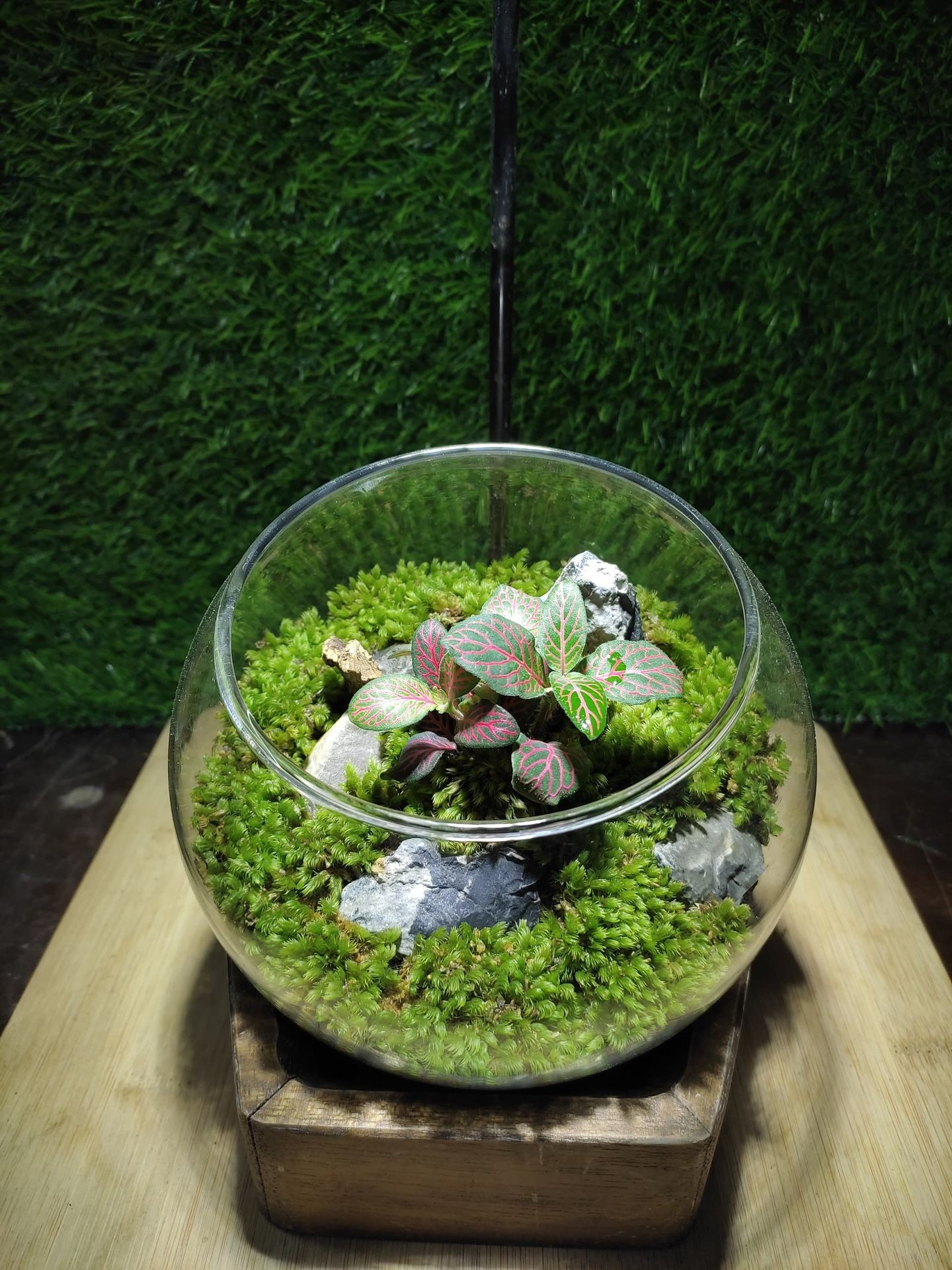 Terrarium