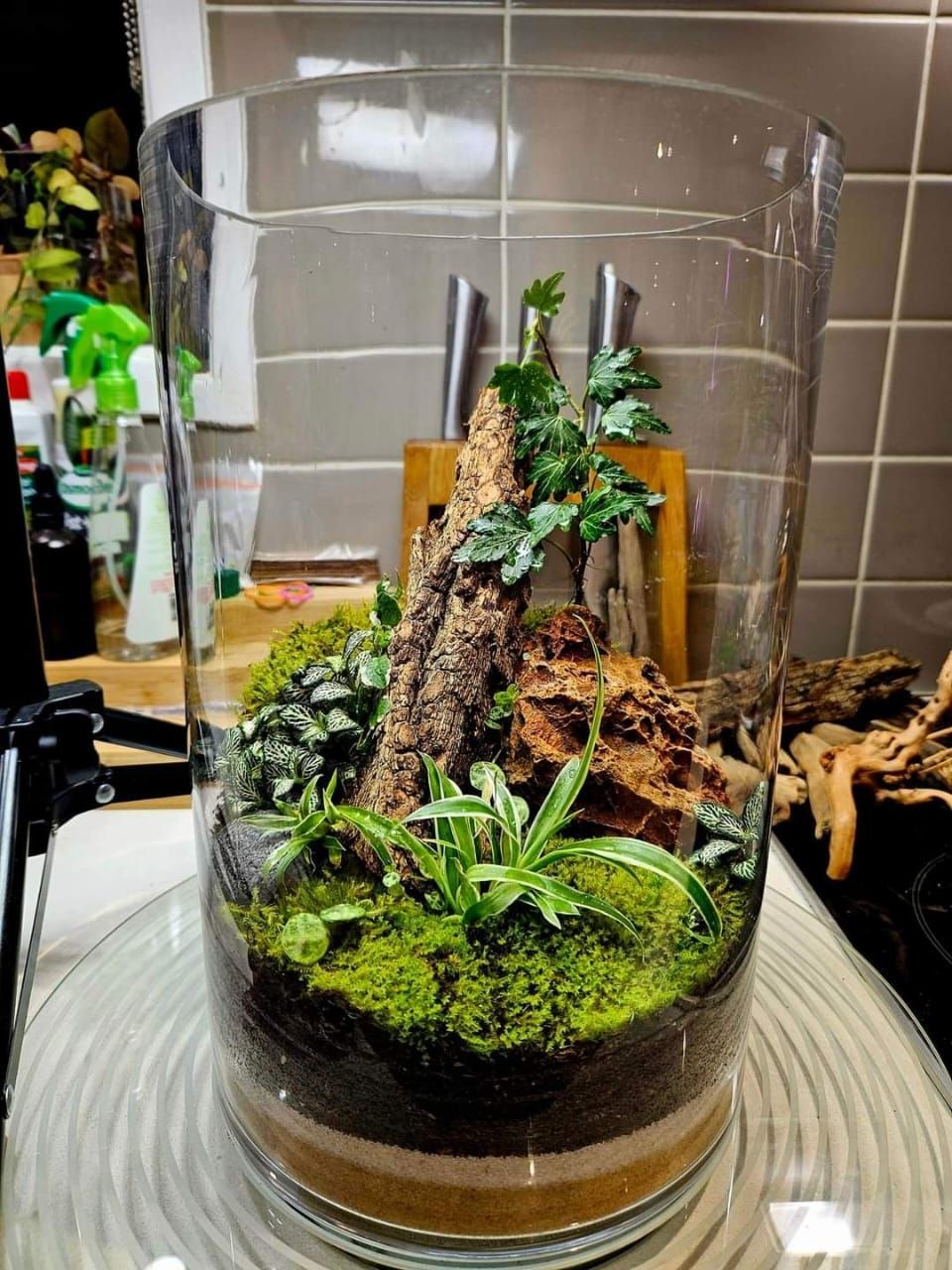 Terrarium