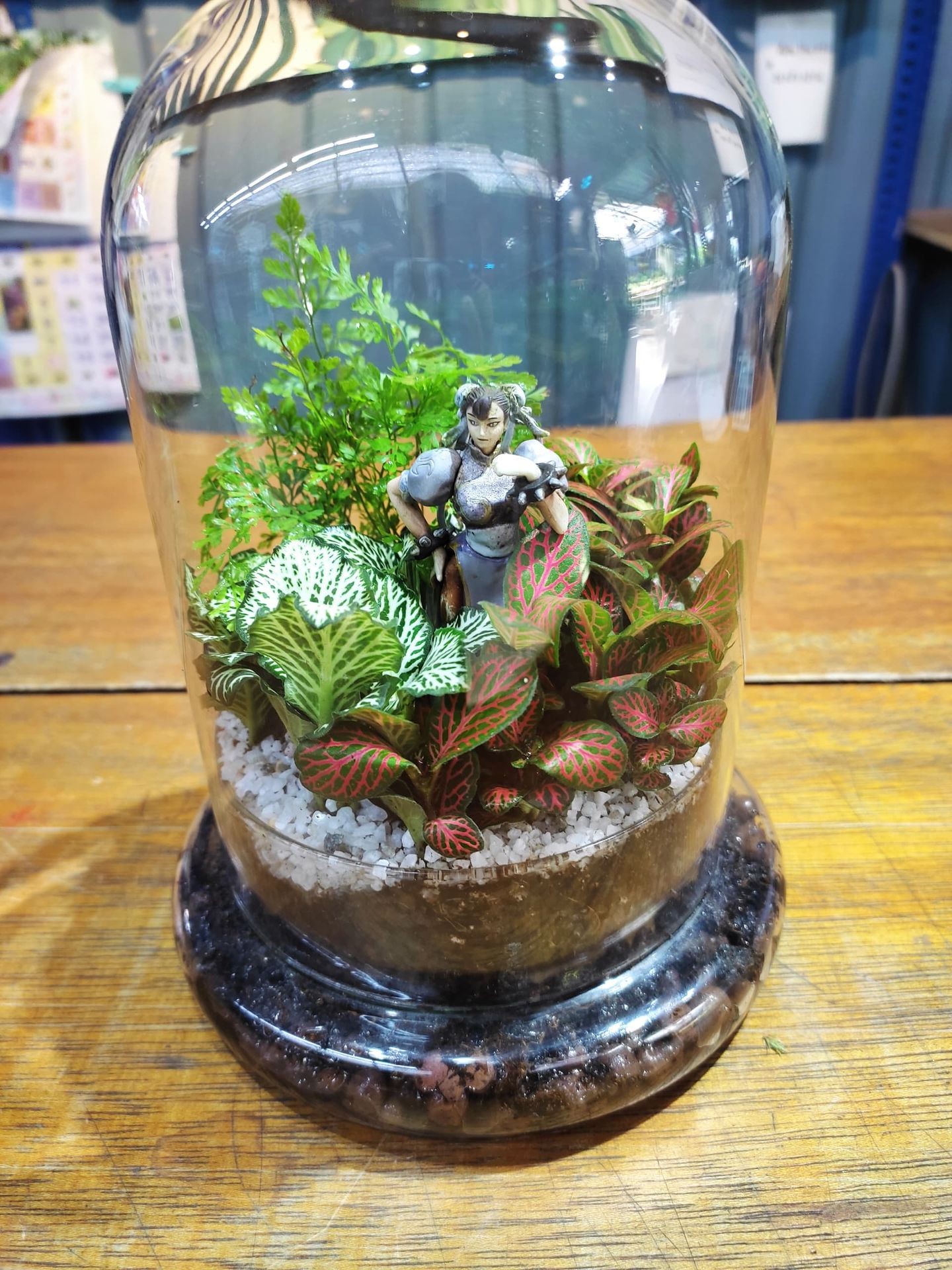 Terrarium