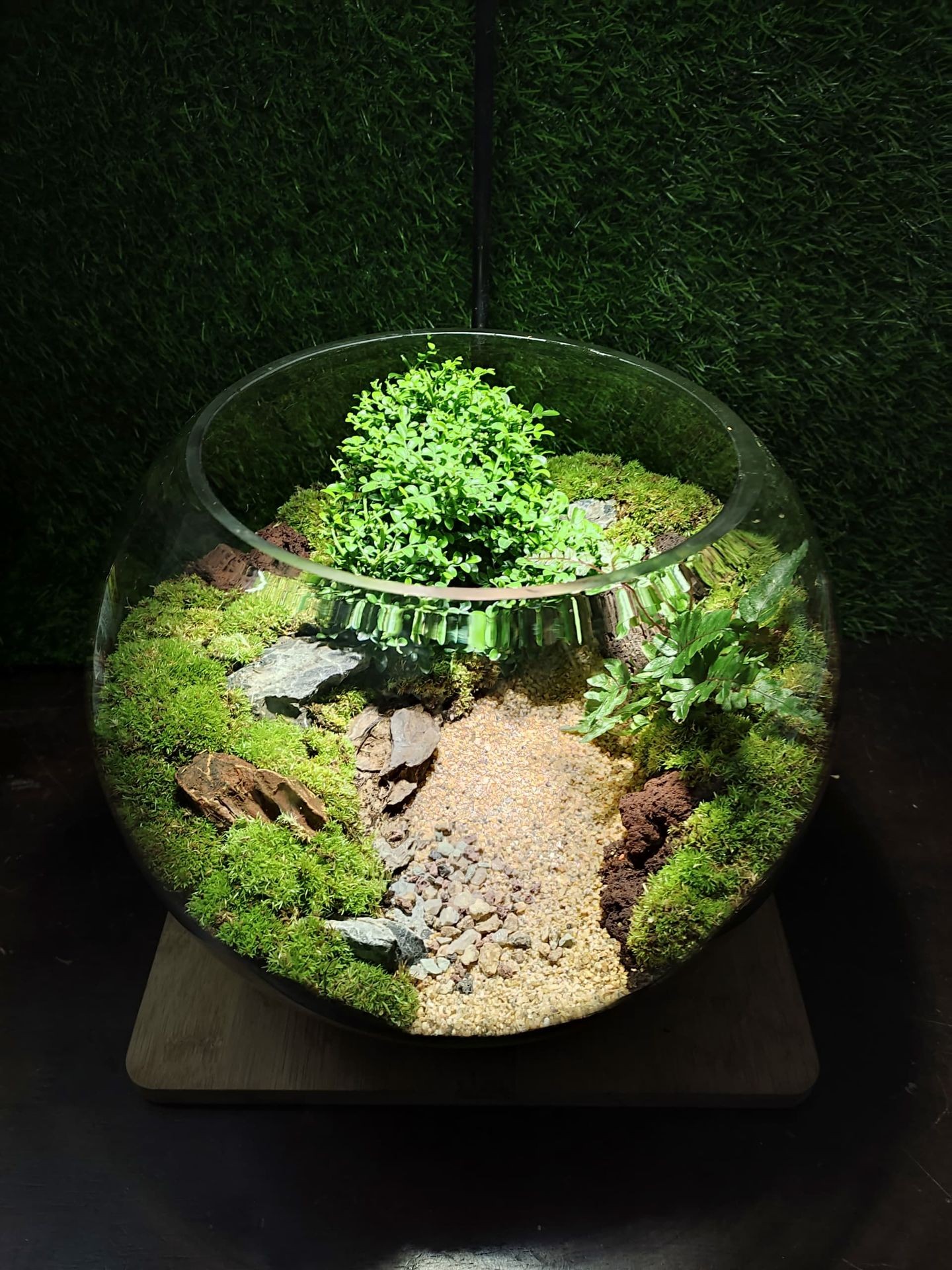 Terrarium