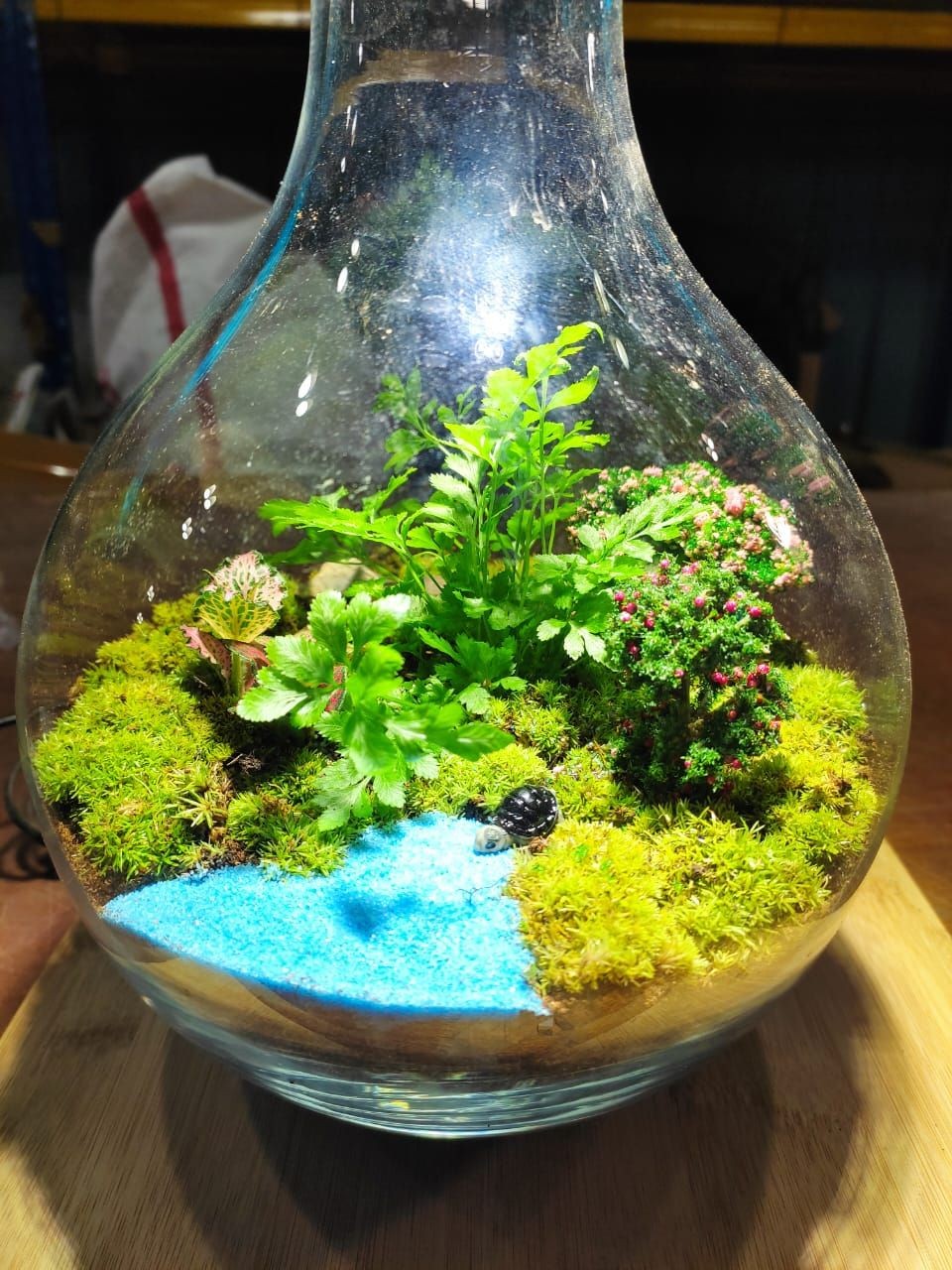 Terrarium