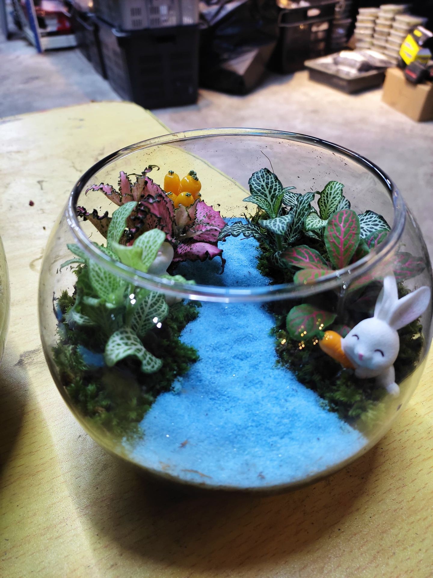 Terrarium