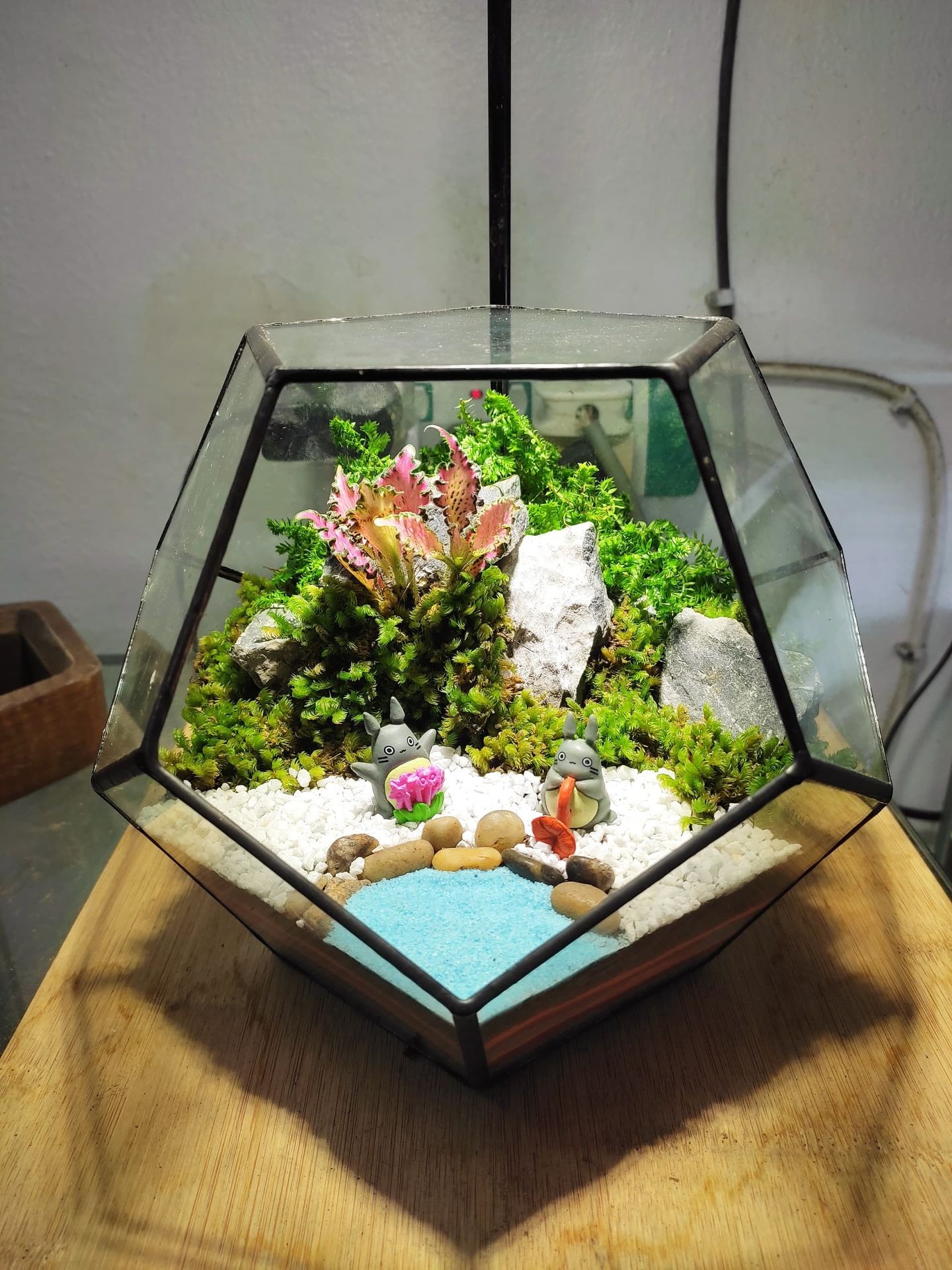 Terrarium