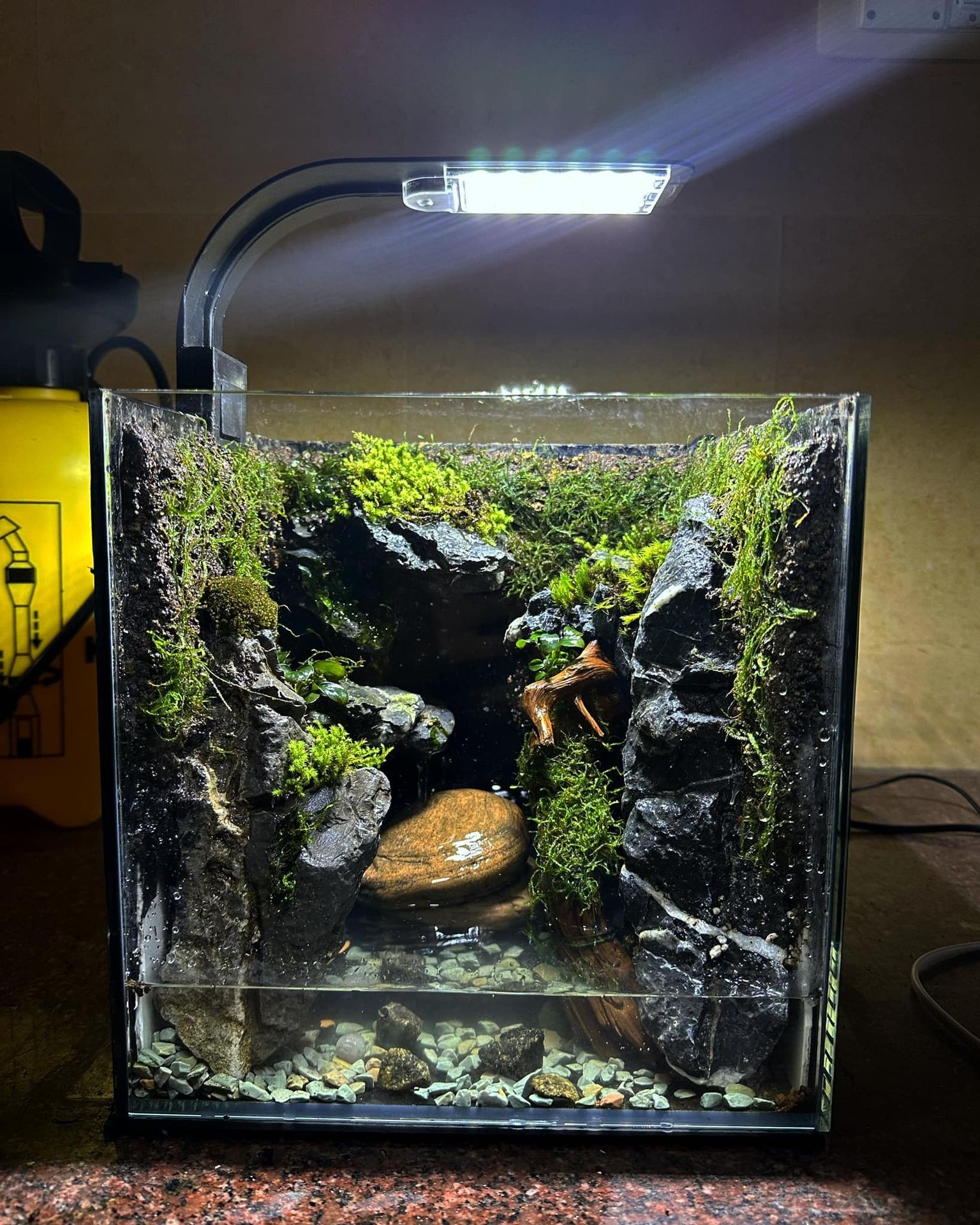 Paludarium