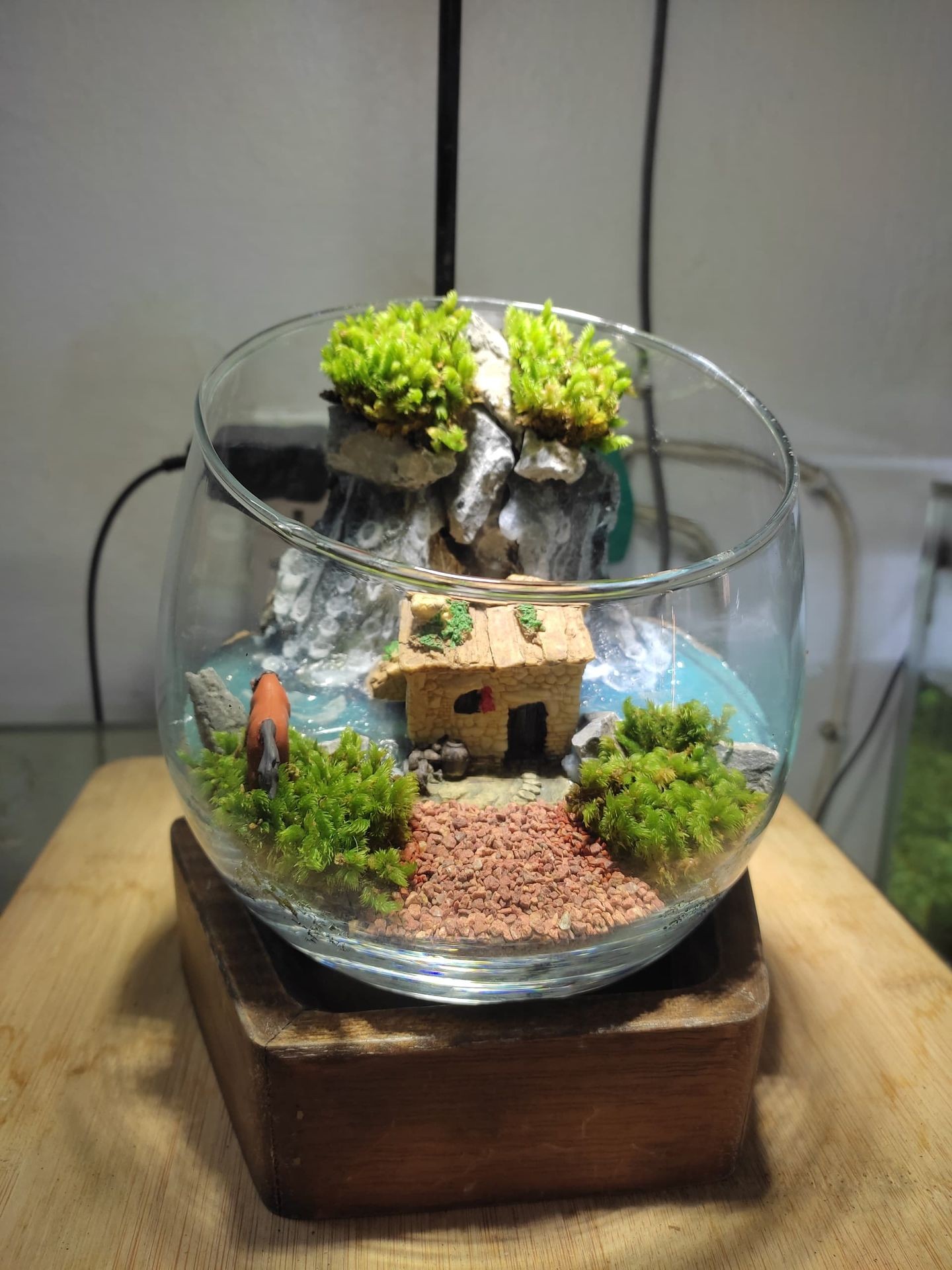 Terrarium