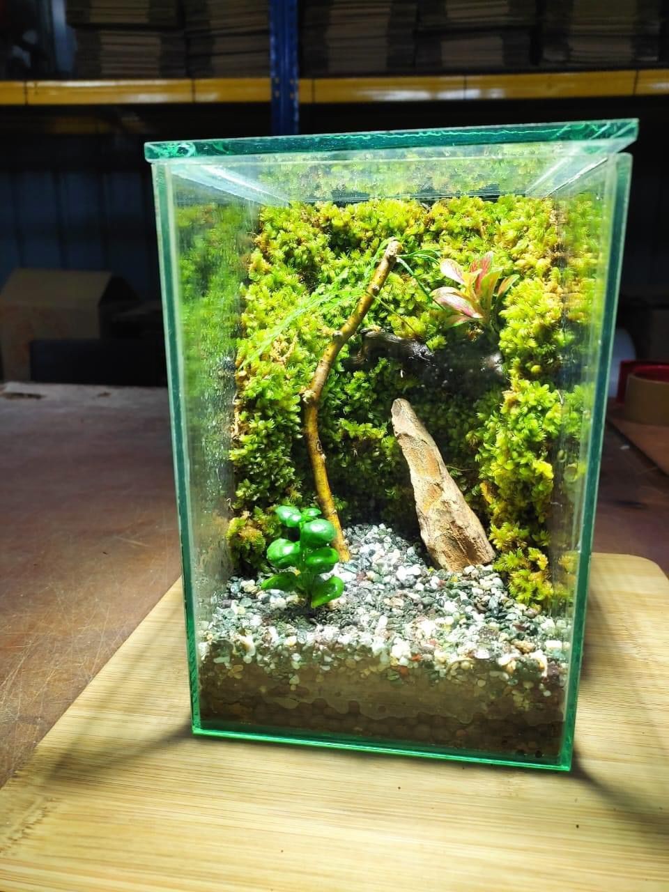 Terrarium