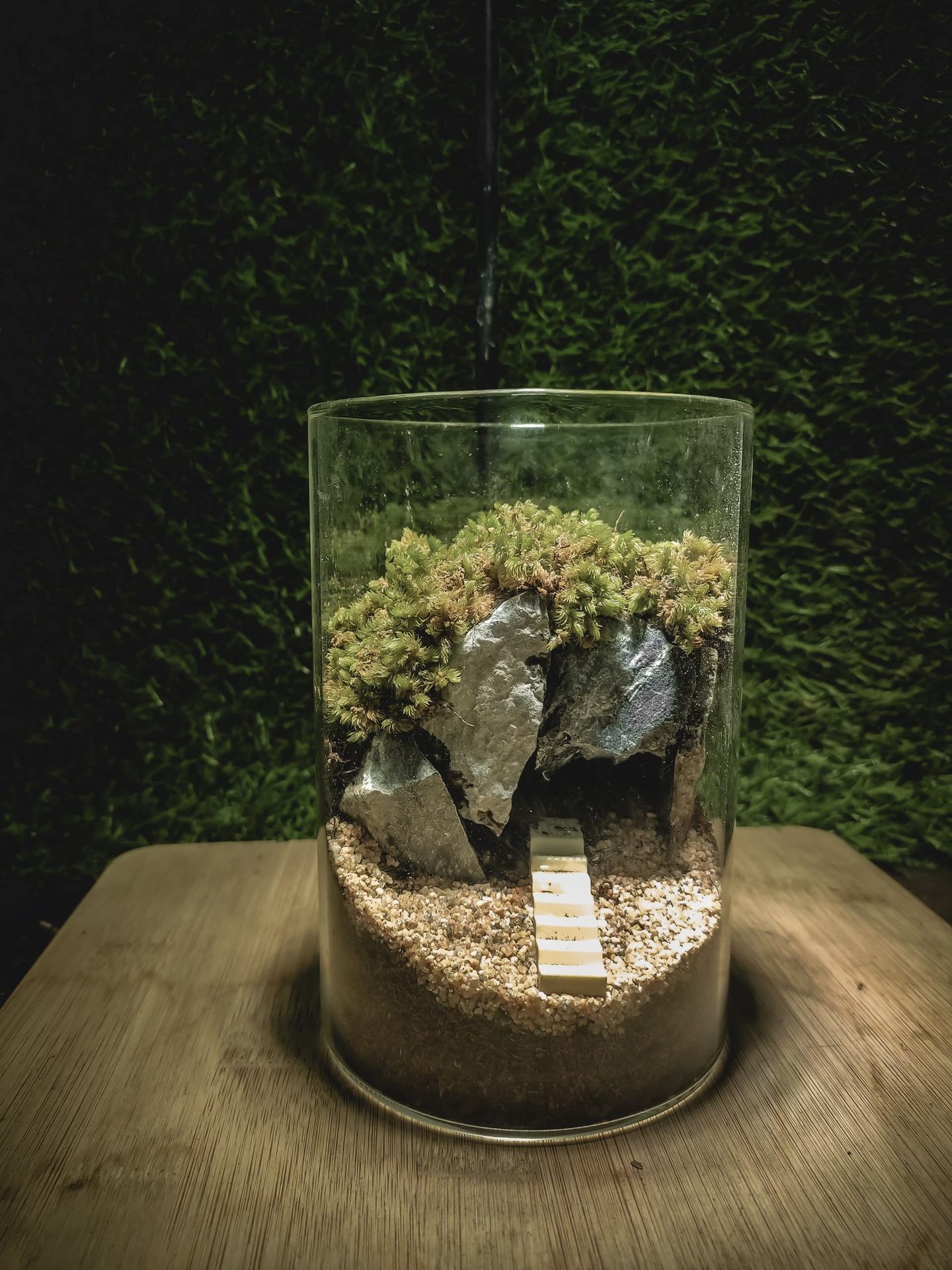 Terrarium